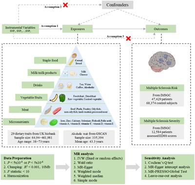 Causal effects of dietary composition on multiple sclerosis risk and severity: a Mendelian randomization study